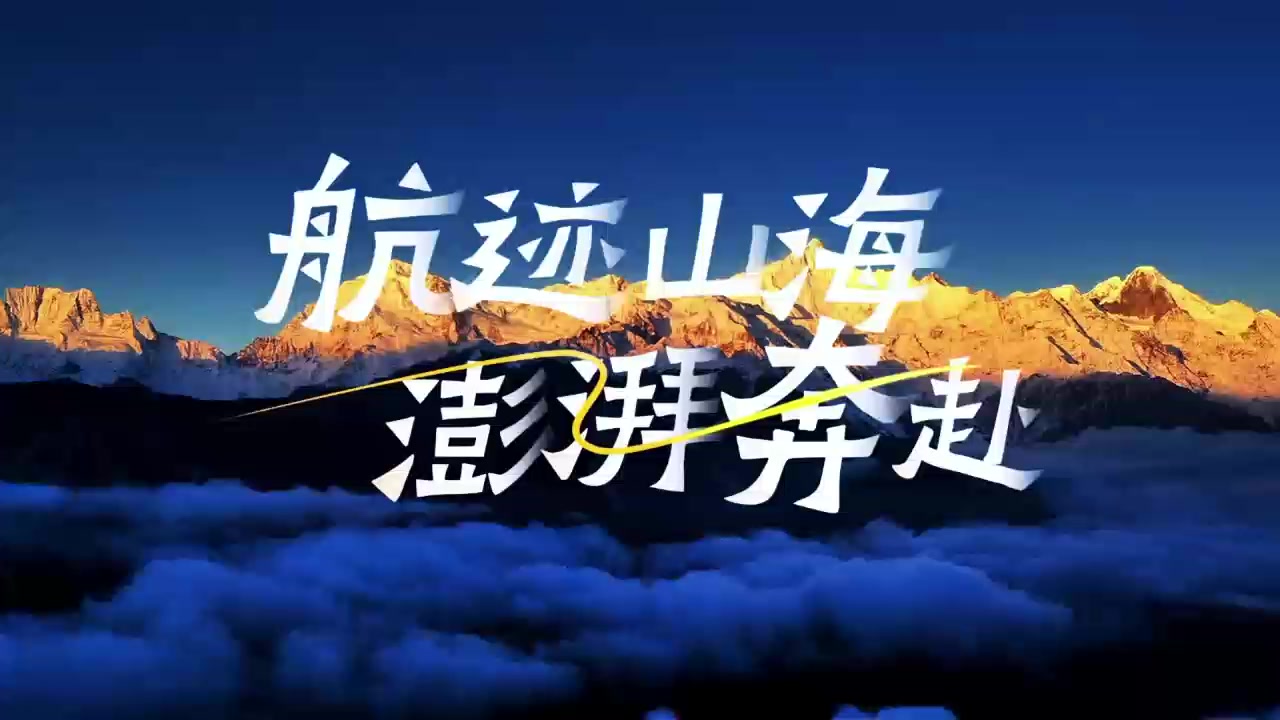 迪诺集团年度回顾